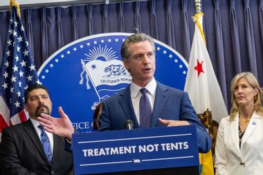 Gavin Newsom
